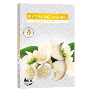 AURA FRAGRANCES VELAS JASMIM FLORESCENTE PK6
